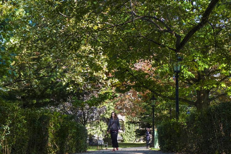 A student walks underneath a canopy of trees at St. George campus