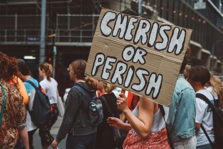 young adult protester holding a sign that says "cherish or perish"