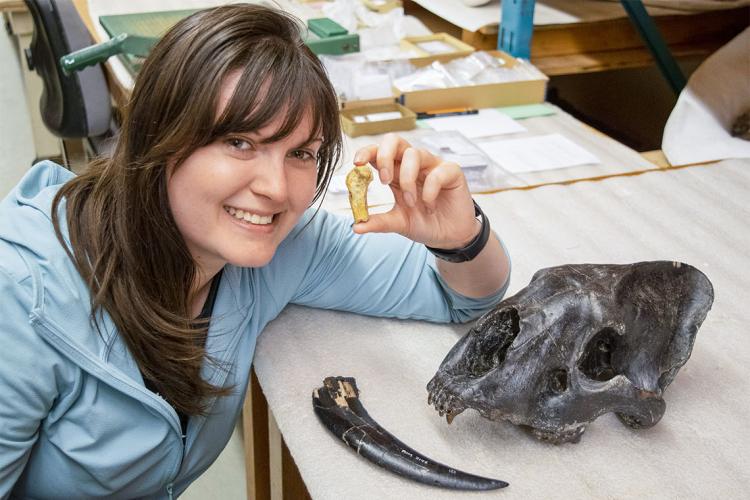 Ashley Reynolds holds the Smilodon fatalis metacarpal from Medicine Hat, Alberta