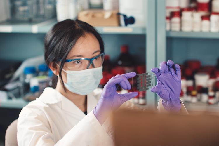 photo of researcher in lab