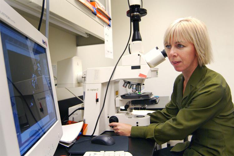 Portrait of Freda Miller in a lab at the Hosptial for Sick Children