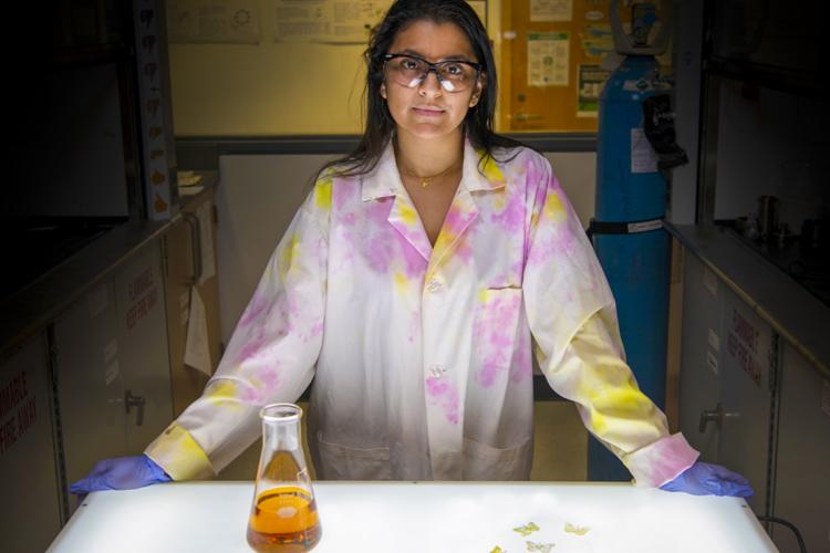 PhD student Rajshree Biswas in a lab coat and goggles stands in front of a vial of fryer oil and 3D-printed butterflies