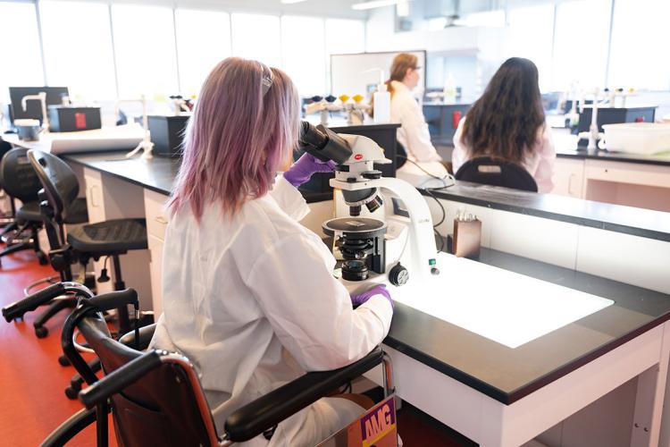 a young woman in a wheelchair uses a height adjustable lab bench at the University of Toronto Scarborough campus