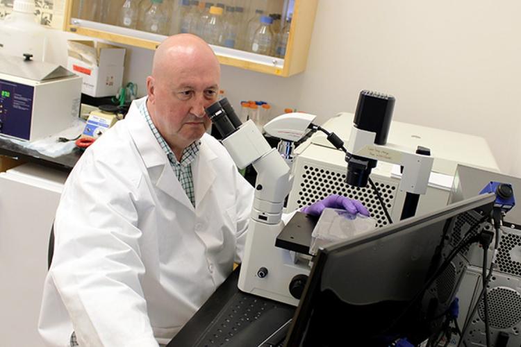 John E. Davies looks through a micrsoscope