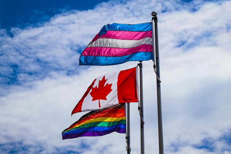 Trans flag, Canada flag, and LGBTQ flag flown at the University of Toronto, St. George campus