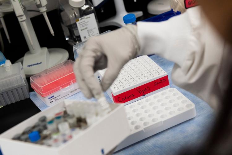 a latex gloved hand of a lab tech handles a vial with coronavirus in it