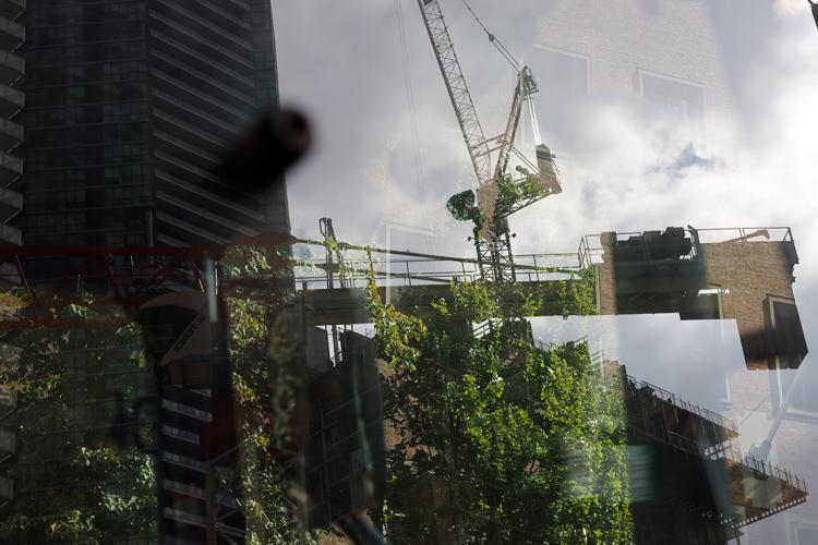 a crane is reflected in a window and behind the window there are plants