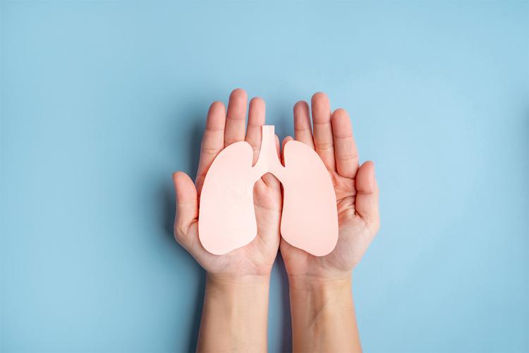 a pair of hands holds a paper cutout of a pair of lungs