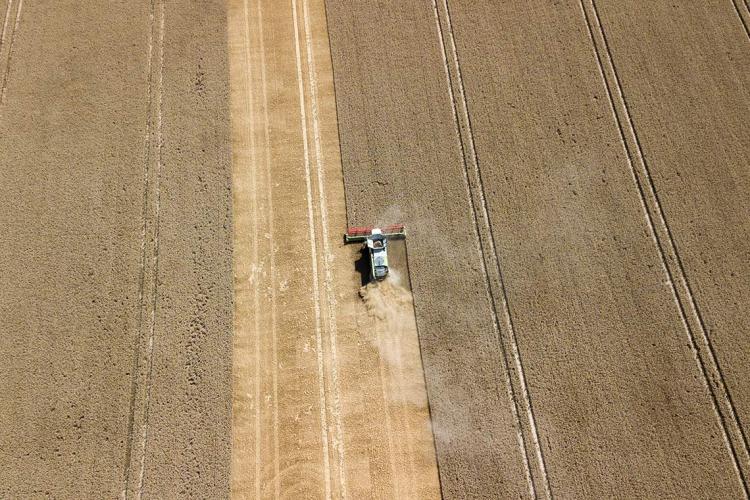 Aerial photo of a combine harvesting a wheat field