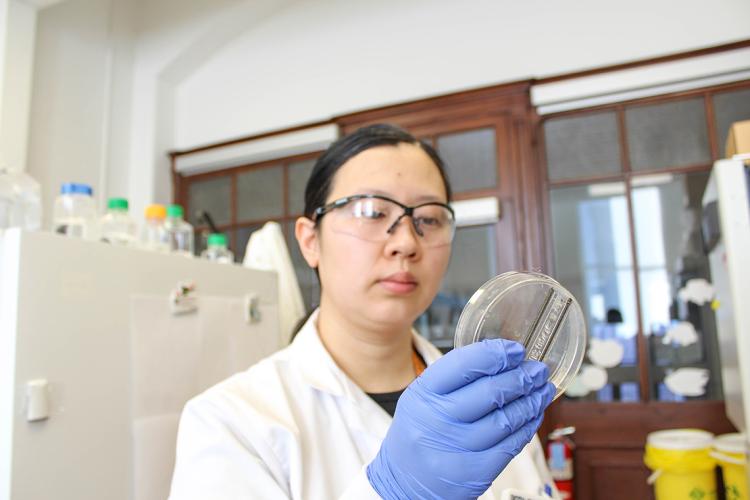 Photo of researcher Yimu Zhao holding the Biowire II