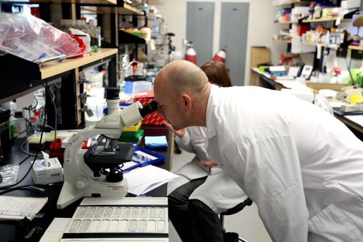 Mats Sundin looks through a microscope