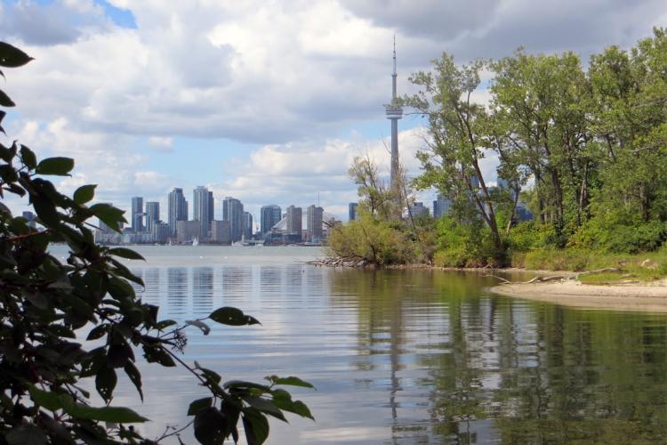 Toronto Island