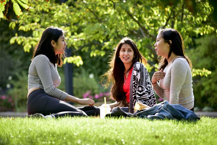 Students sitting on the lawn and talking