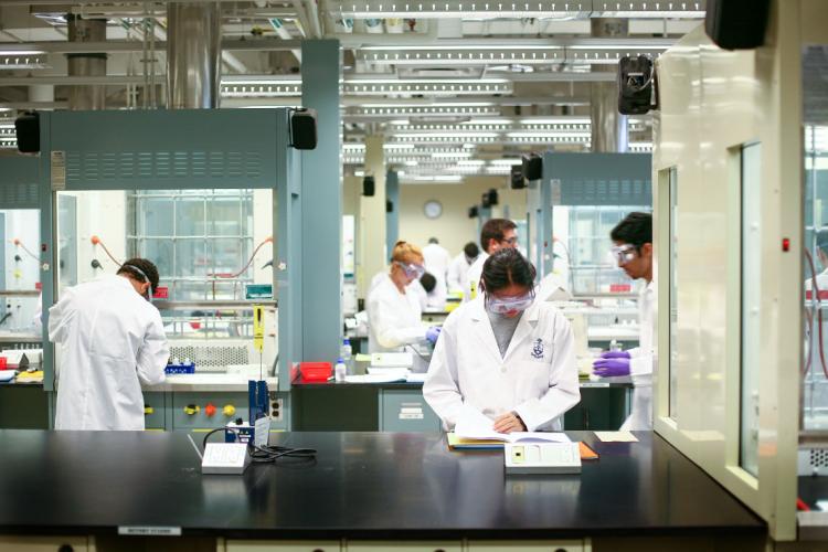 Photo of students doing research in a lab