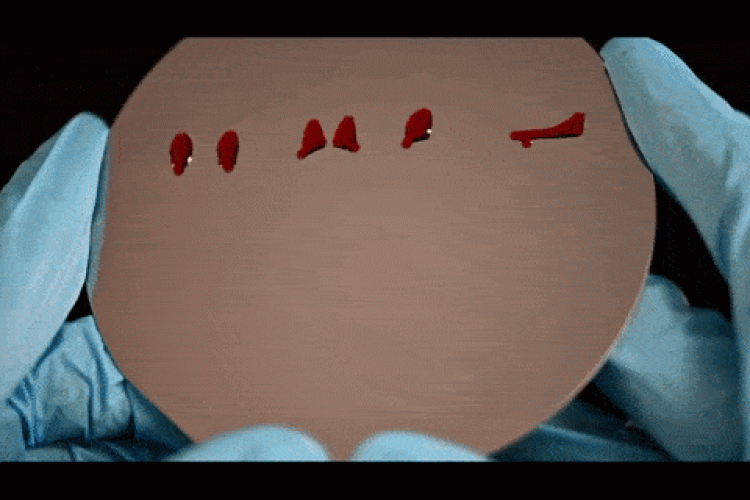 animated gif showing a liquid moving across a surface along a path that spells U of T