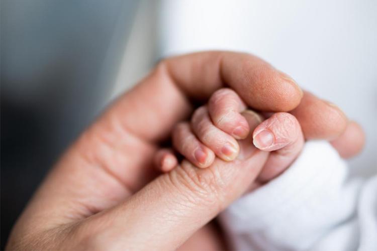 a mother holds her newborn's hand