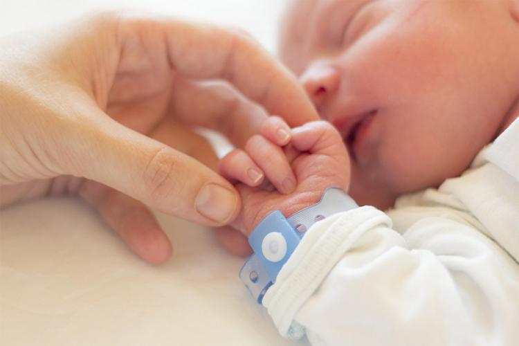 an adult hand holds the hand of a newborn child