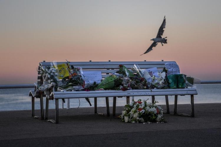 Seagull flies beside bench that bears flower tributes to victims of Nice attack