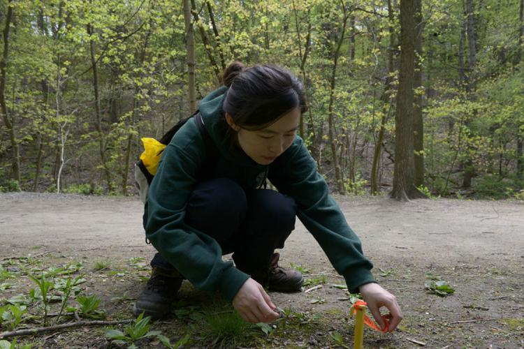 Anqi Dong in the Park Drive Ravine