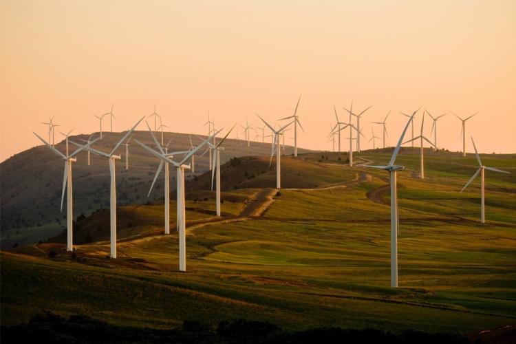 photo of wind turbines