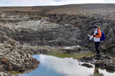 Photo of Arctic pond