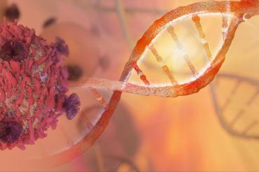 DNA strand
