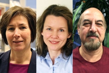Photo of researchers