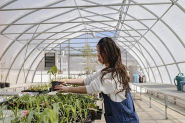 woman tending to plants in one of the greenhouses at Centre for Immigrant and Community Services in Scarborough