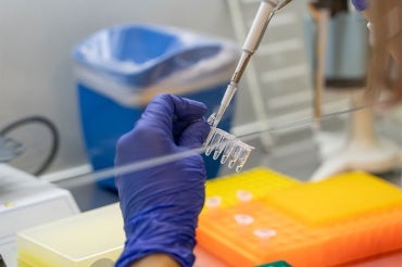 scientist uses a pipette under a fume hood