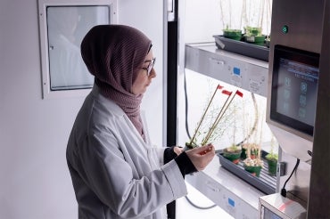 Jenan Noureddine examines plants being grown indoors under a growth lamp