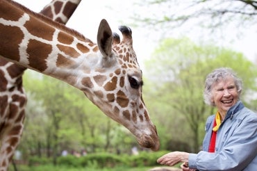 Photo of Anne Innis Dagg and giraffe