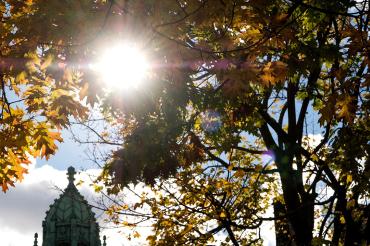 U of T campus in fall