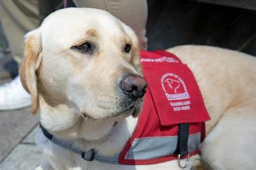 Photo of Emma, a hearing ear dog