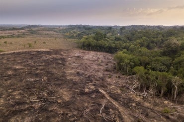 A aerial view of a farm in Brazil that has burned down trees in the rainforest