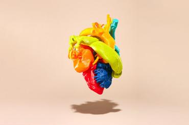 A 3D printed model of a heart