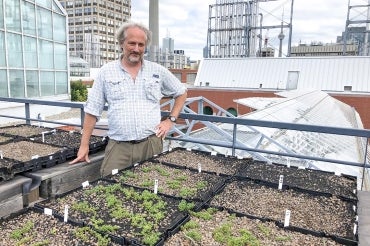 Sean Thomas stands on the roof of the Earth Sciences building in front of some seedlings with the city skyline and cn tower in the background
