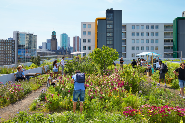 people enjoying a rooftop garden on a downtown building