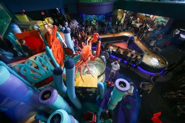 Inside Ripley's Aquarium in Toronto