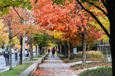 photo of students walking on campus under fall foliage