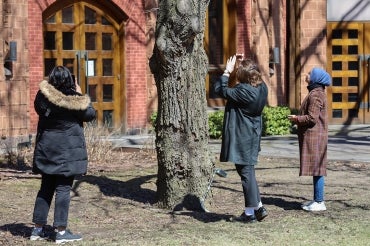 students look up into a tree and take photographs and make recordings of birdsong