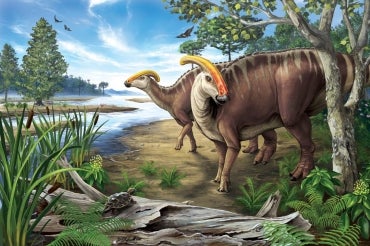 Artist depiction of duck-billed dinosaurs