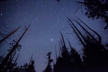 Starry night sky in Canada