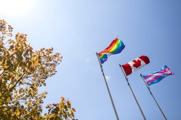 Photo of Pride flags