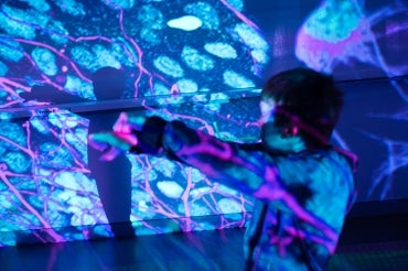 Boy makes shadow puppets at Science Rendezvous