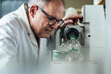 Douglas Stephan looks at a lab experiment