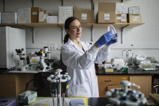 Milica Radisic lab