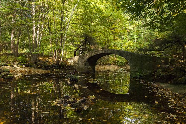 U of T Mississauga is located on 225 acres of protected greenbelt along the Credit River