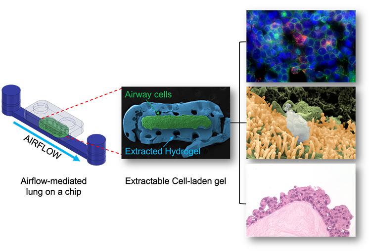 E-FLOAT device