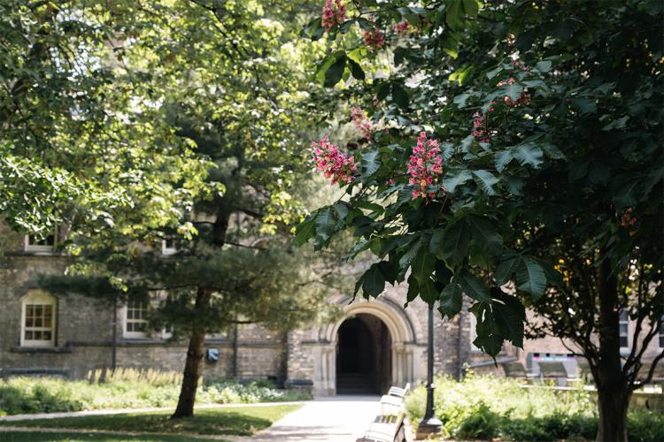 Sir Daniel Wilson Quad in summer