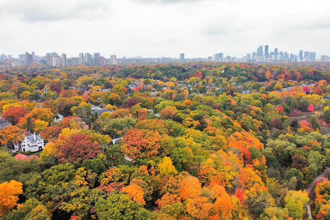 north view of the don valley showing the vibrant fall colours